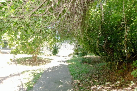 Image 36 - 289403