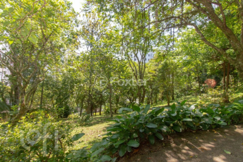 Image 43 - 289403