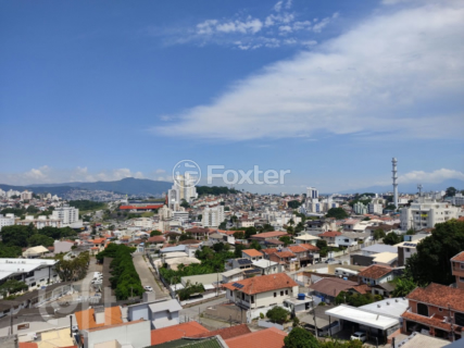 Image 8 - 290803