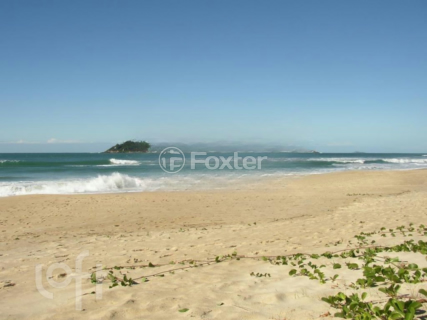 Image 11 - 291365