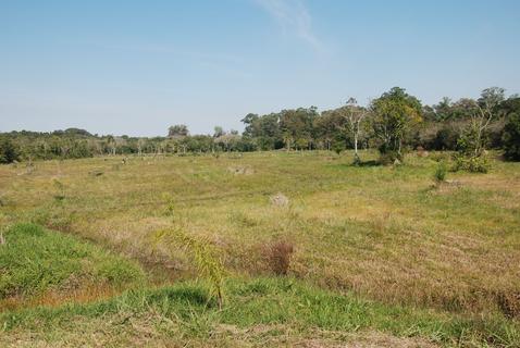 Image 12 - 291434