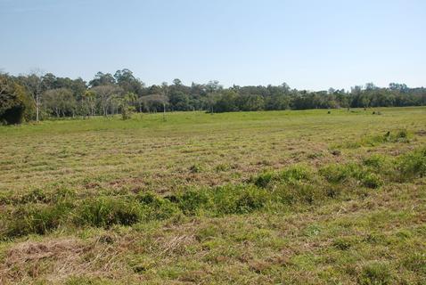 Image 6 - 291434