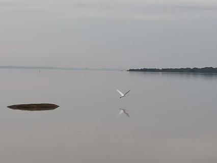 Image 13 - 291434