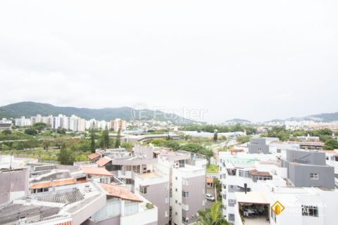 Image 17 - 291510