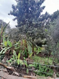 Image 13 - 291865