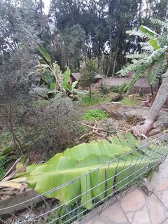 Image 10 - 291865
