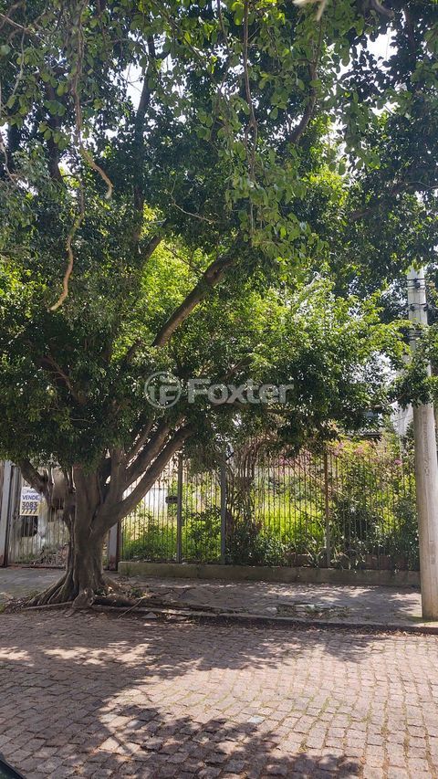 Image 4 - 293562