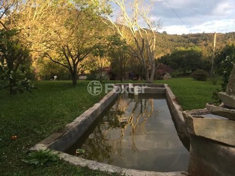 Image 32 - 293640