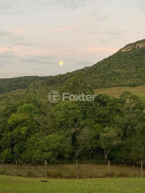 Image 26 - 293640