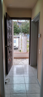 Image 25 - 293886