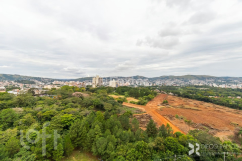 Image 72 - 293923