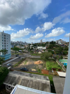 Image 10 - 293999