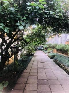 Image 15 - 294127