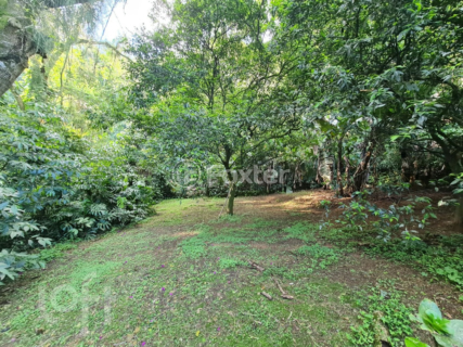 Image 28 - 294157