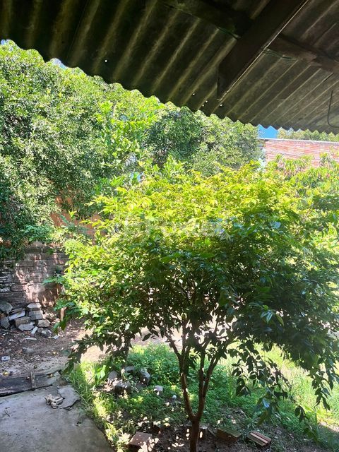Image 25 - 294658