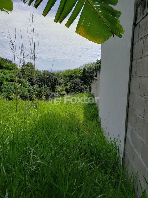 Image 2 - 294747