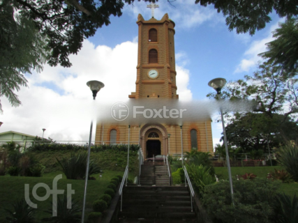Image 10 - 295279