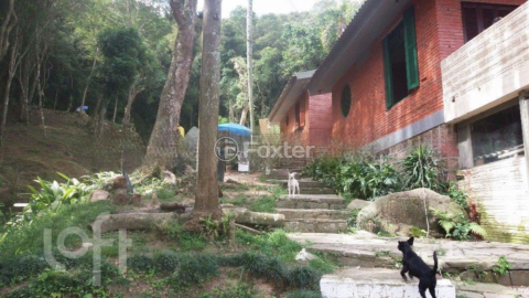Image 5 - 295714