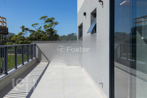 Image 31 - 295961