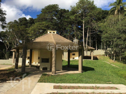 Image 31 - 296132