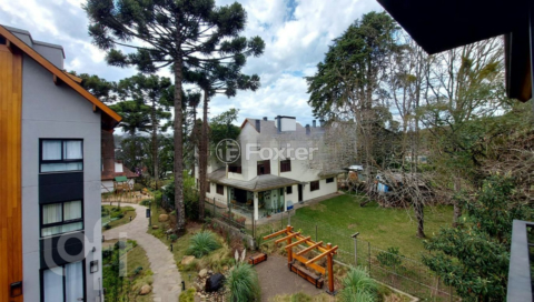 Image 41 - 296519