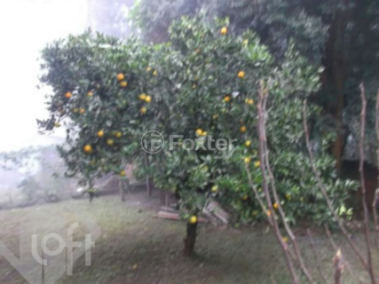 Image 7 - 296694