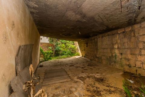 Image 40 - 297565