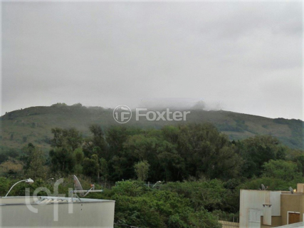 Image 27 - 297831