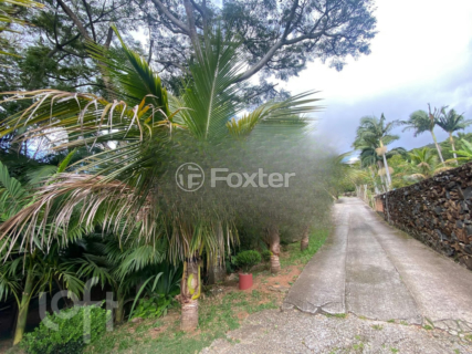 Image 31 - 297990
