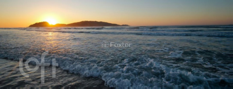 Image 13 - 297995