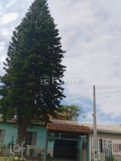 Image 7 - 298113