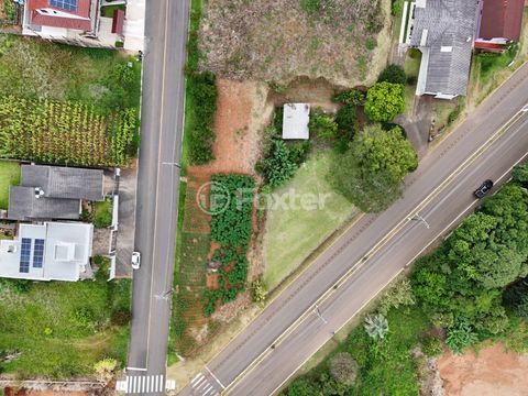Image 6 - 298275