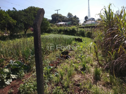 Image 4 - 298275