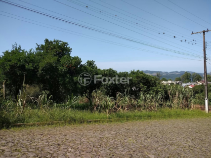 Image 1 - 298275