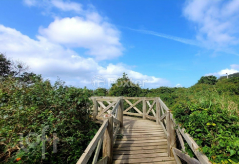 Image 12 - 298286
