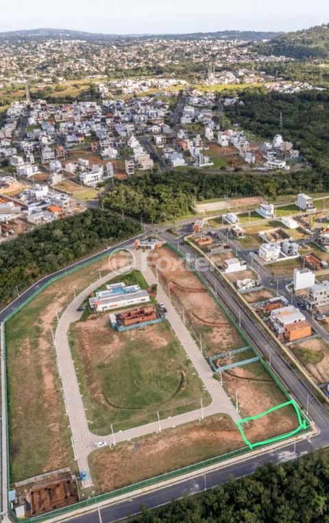 Image 4 - 298971