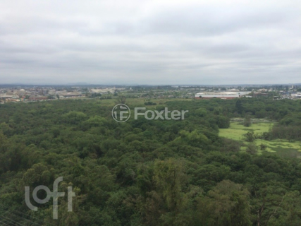 Image 34 - 299464