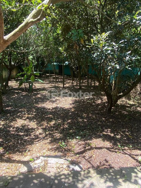 Image 21 - 302183