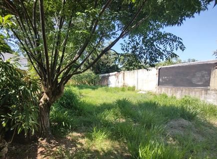 Image 6 - 302288