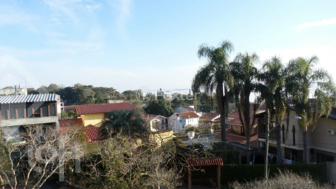 Image 12 - 302447