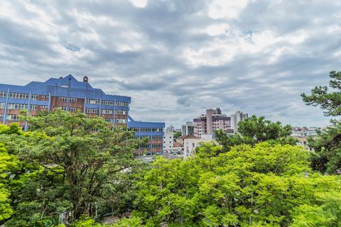 Image 10 - 302519
