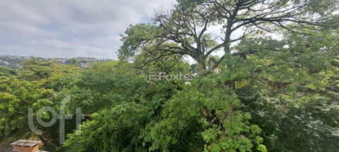 Image 13 - 302754
