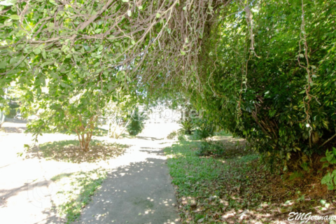Image 36 - 302769