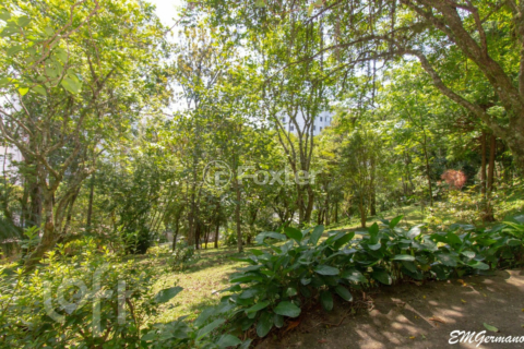 Image 38 - 302769