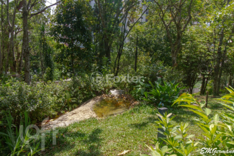 Image 37 - 302769