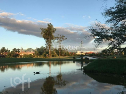 Image 53 - 302972