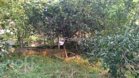 Image 28 - 303475