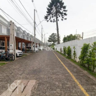 Image 29 - 303515