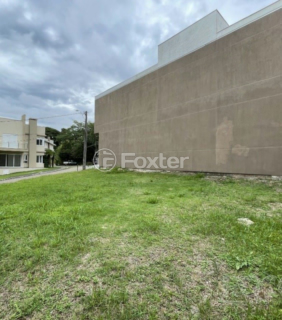 Image 3 - 303656