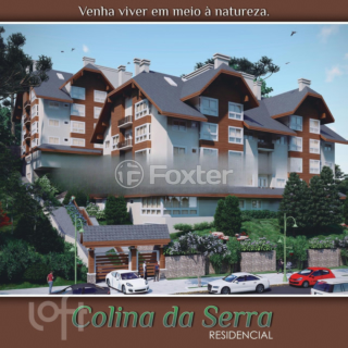 Image 4 - 303931